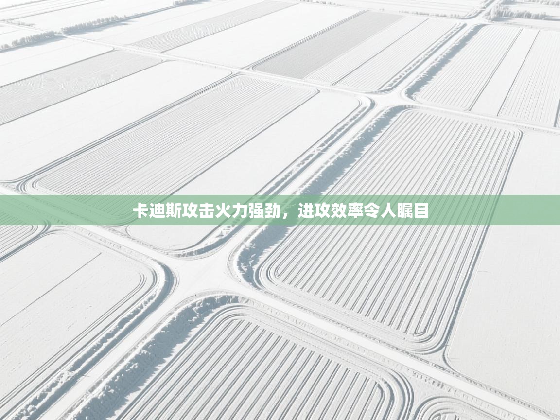 云开体育入口-卡迪斯攻击火力强劲，进攻效率令人瞩目