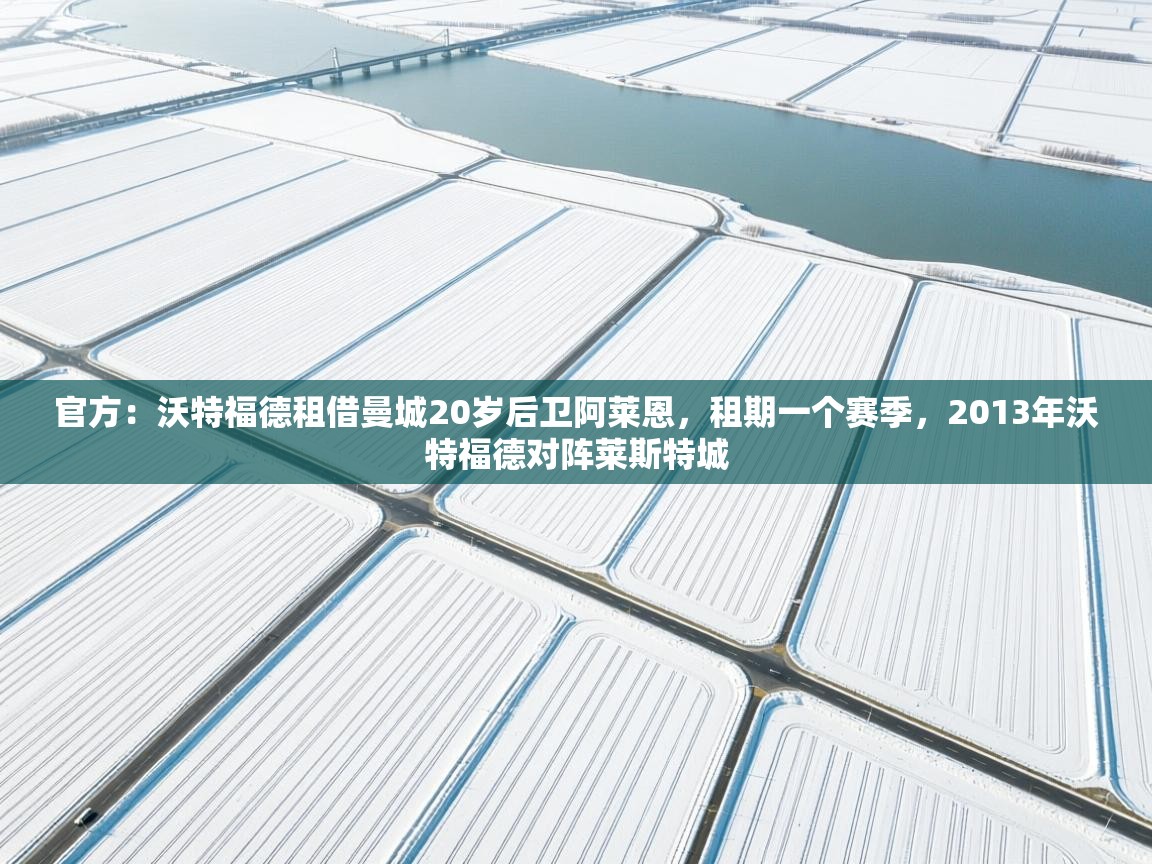 开云中国kaiyun·体育官方网站-官方：沃特福德租借曼城20岁后卫阿莱恩，租期一个赛季，2013年沃特福德对阵莱斯特城